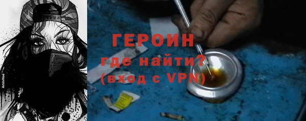 индика Няндома