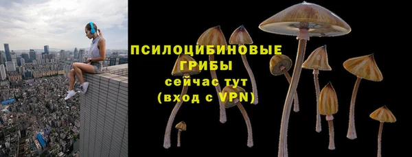 дживик Нязепетровск