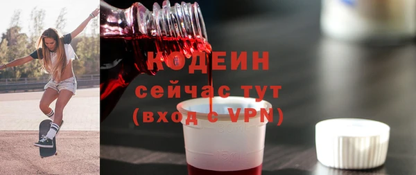 индика Няндома