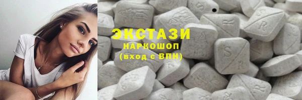 индика Няндома