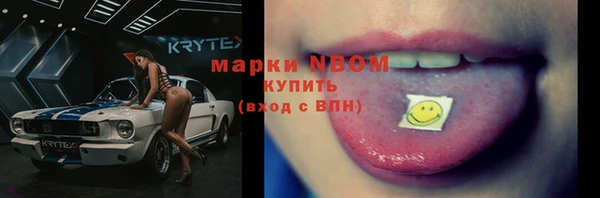 шишки Новокубанск