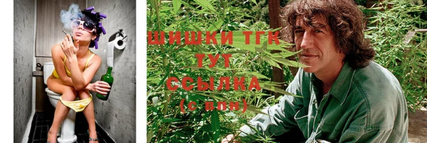 шишки Новокубанск