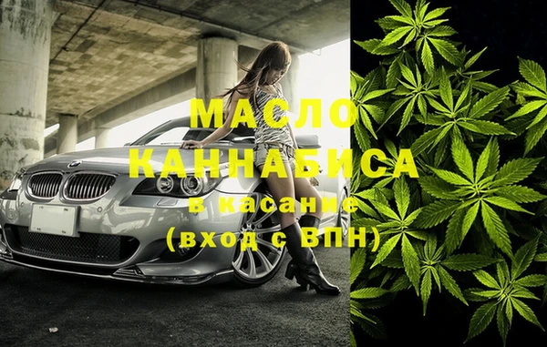 индика Няндома