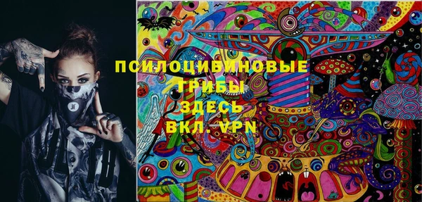 индика Няндома