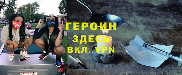 индика Няндома
