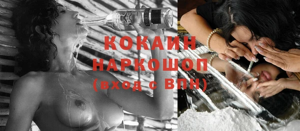 шишки Новокубанск