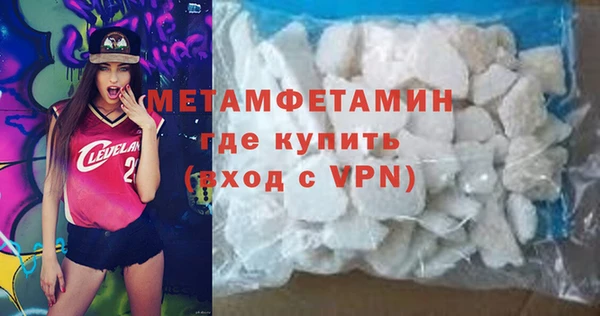индика Няндома