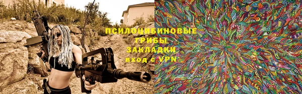 индика Няндома