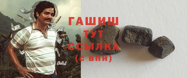 индика Няндома