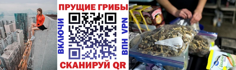 Галлюциногенные грибы мухоморы закладка Киржач