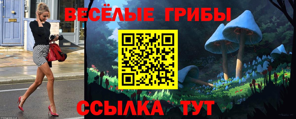 Галлюциногенные грибы мицелий  Вход с VPN  Галлюциногенные грибы прущие грибы  Киржач 