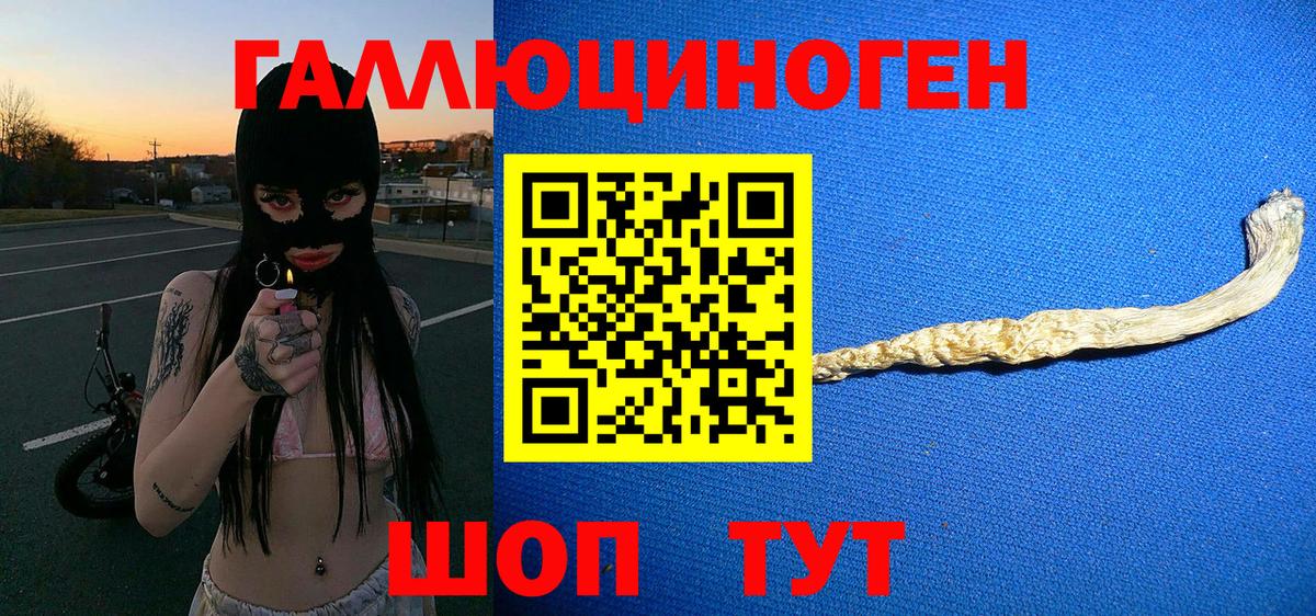 Псилоцибиновые грибы GOLDEN TEACHER  Киржач  Псилоцибиновые грибы прущие грибы 